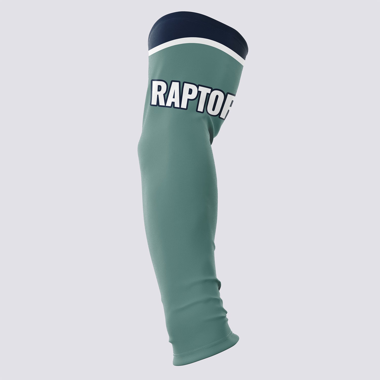 Raptor - Baseball