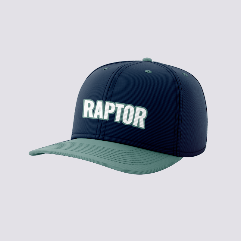 Raptor - Baseball