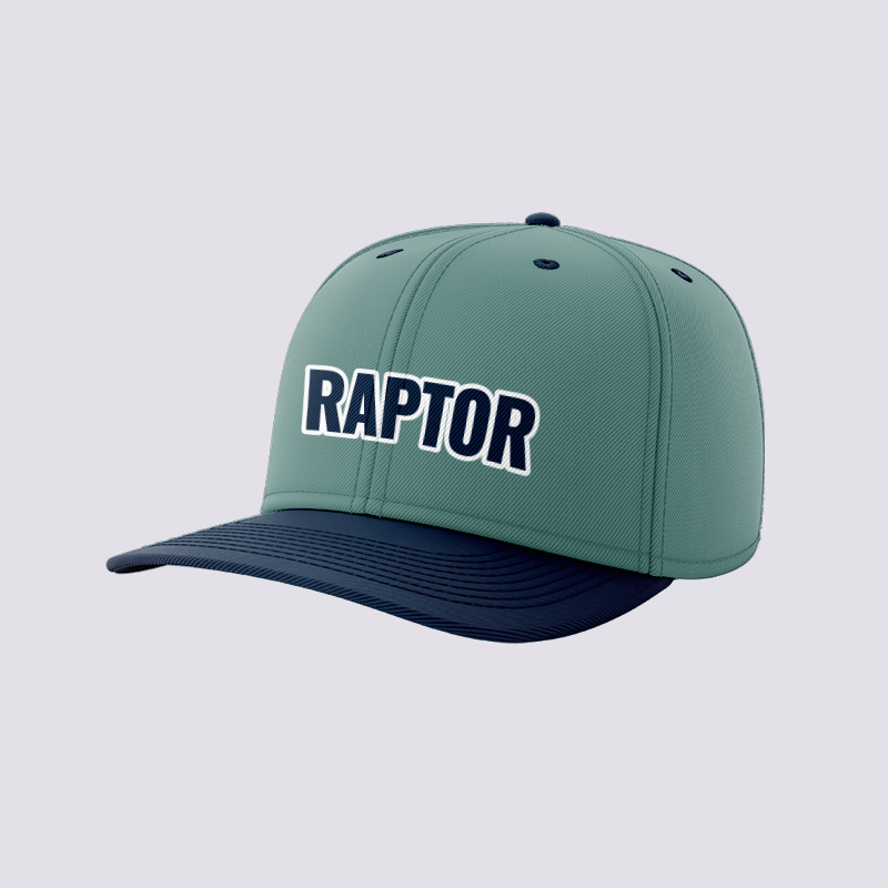 Raptor - Baseball