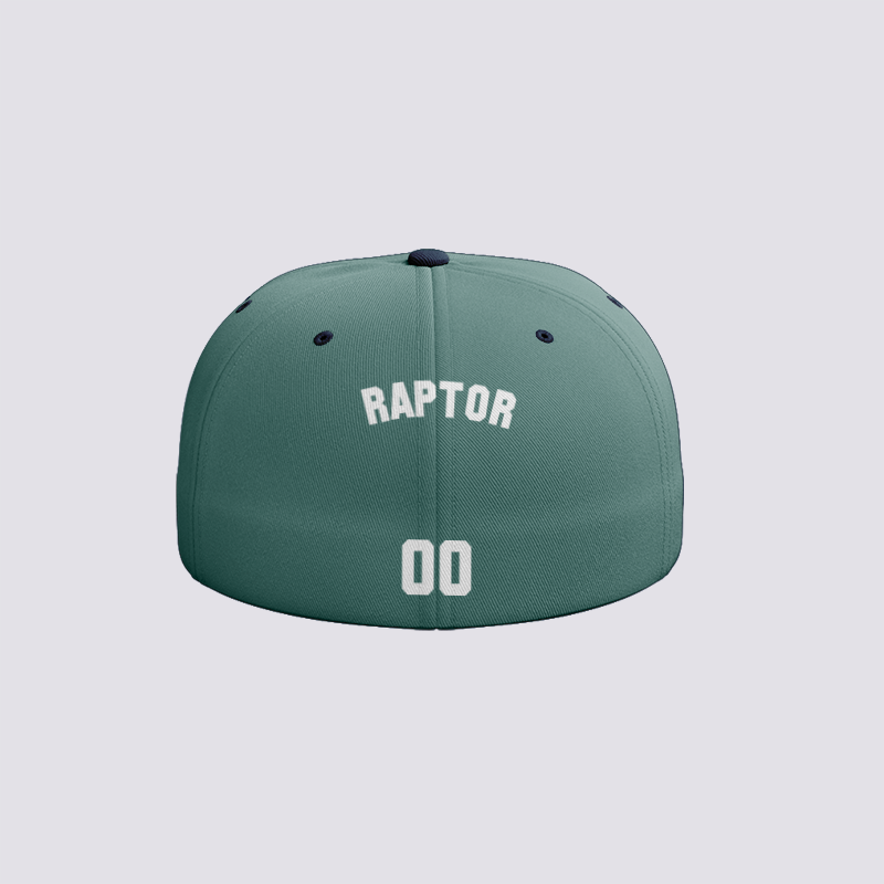 Raptor - Baseball