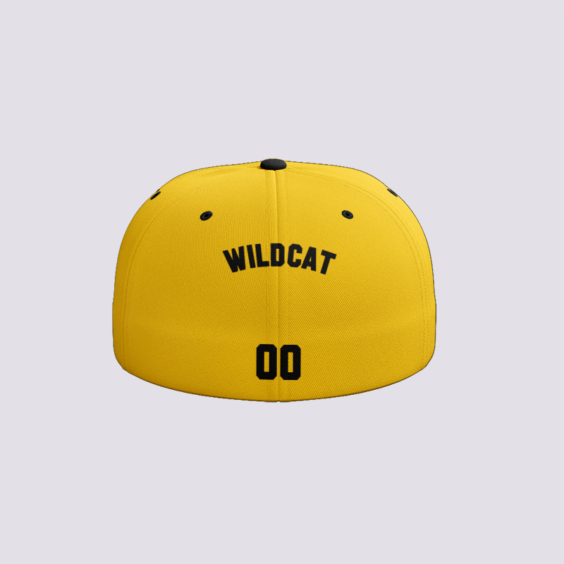 Wildcat - Baseball