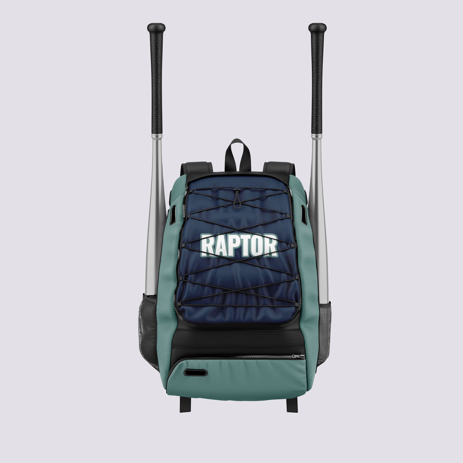 Raptor - Baseball